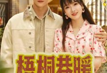 梧桐巷暖-搞砸网络-www.gaoza.cn