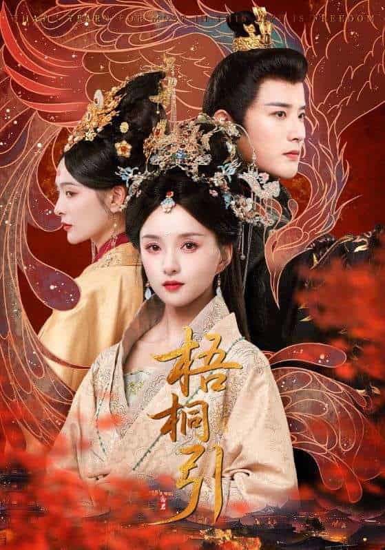 梧桐引-搞砸网络-www.gaoza.cn