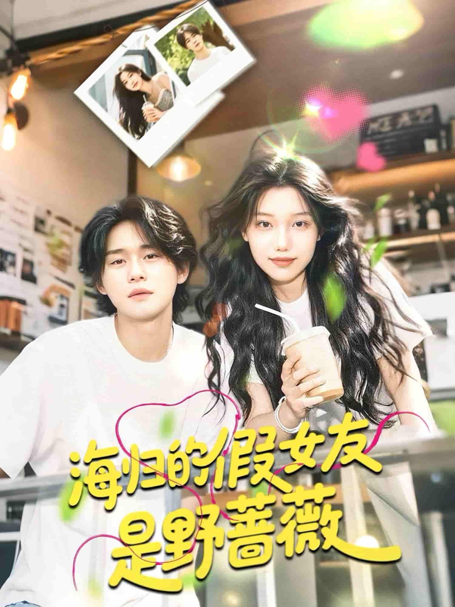 海归的假女友是野蔷薇＆海归的假女友是奶茶妹-搞砸网络-www.gaoza.cn