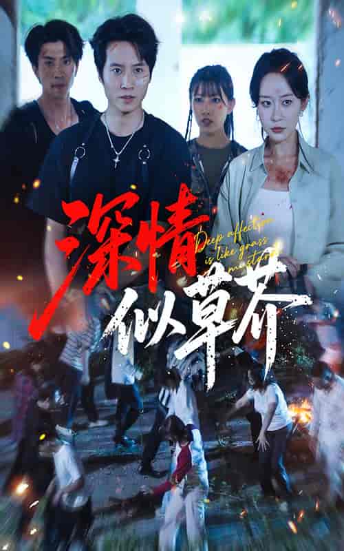 深情似草芥-搞砸网络-www.gaoza.cn