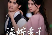 温婉妻子的反击-搞砸网络-www.gaoza.cn