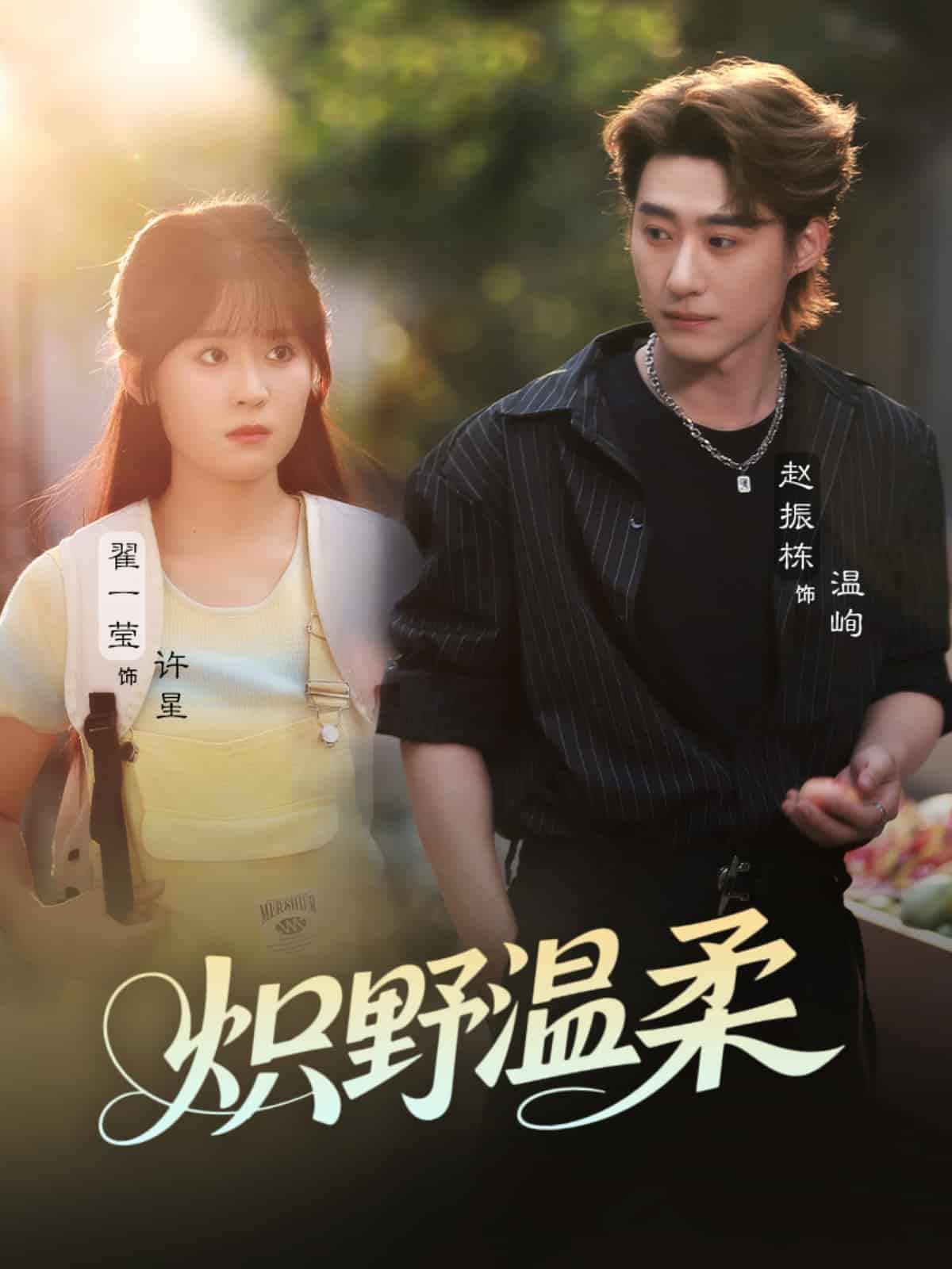 炽野温柔-搞砸网络-www.gaoza.cn