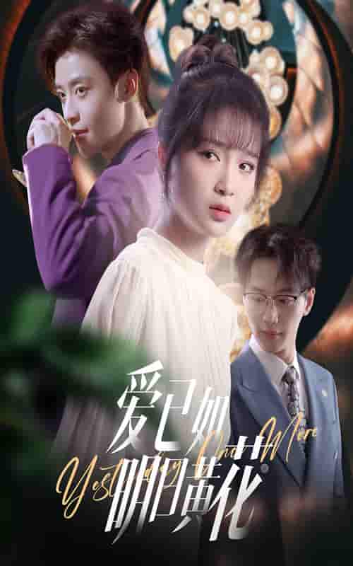 爱已如明日黄花-搞砸网络-www.gaoza.cn