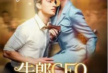 牛郎CEO的守护-搞砸网络-www.gaoza.cn