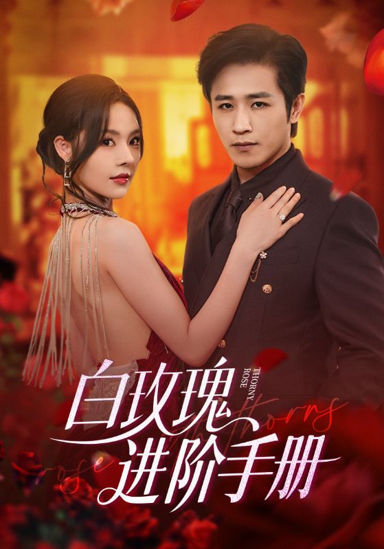 白玫瑰进阶手册-搞砸网络-www.gaoza.cn