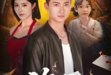 盗圣-搞砸网络-www.gaoza.cn