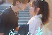 盛夏里的光-搞砸网络-www.gaoza.cn