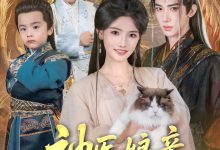神医娘亲又掉马了-搞砸网络-www.gaoza.cn