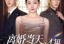 离婚当天才知心机死对头暗恋我十年-搞砸网络-www.gaoza.cn