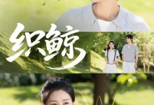 织鲸-搞砸网络-www.gaoza.cn