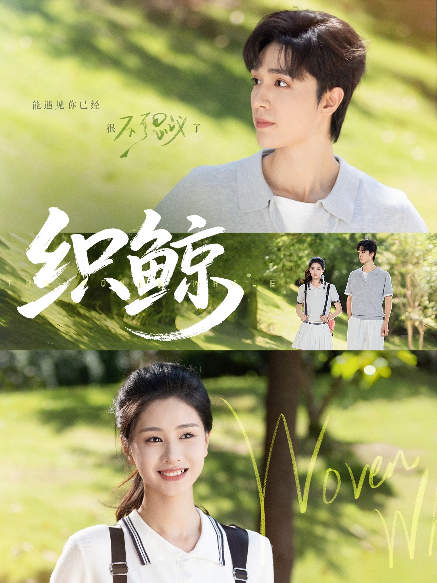 织鲸-搞砸网络-www.gaoza.cn