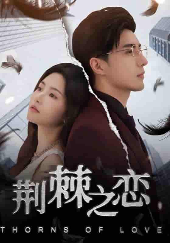荆棘之恋-搞砸网络-www.gaoza.cn
