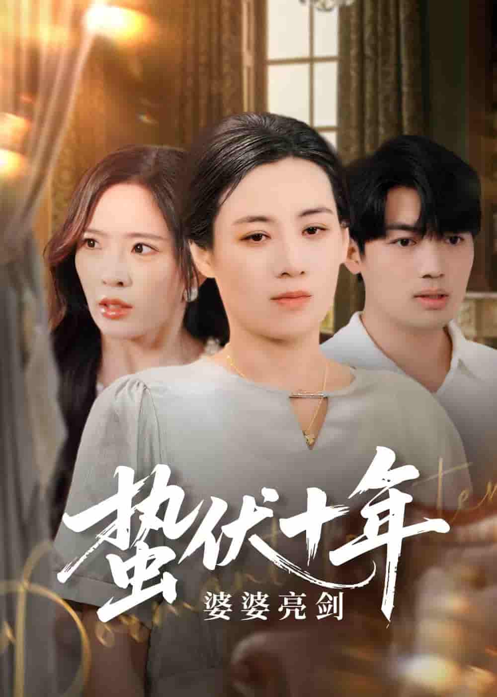蛰伏十年婆婆亮剑-搞砸网络-www.gaoza.cn