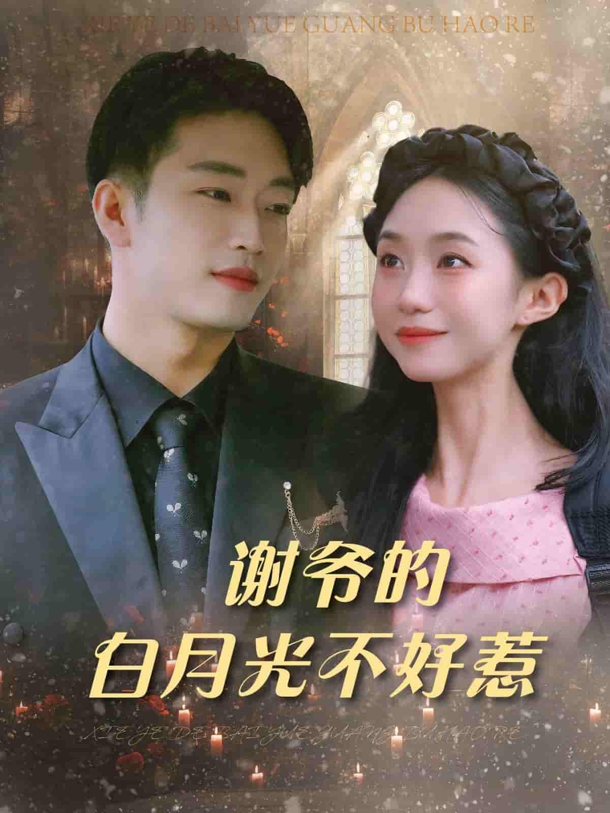 谢爷的白月光不好惹-搞砸网络-www.gaoza.cn