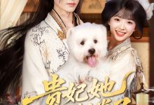 贵妃她不想卷了-搞砸网络-www.gaoza.cn