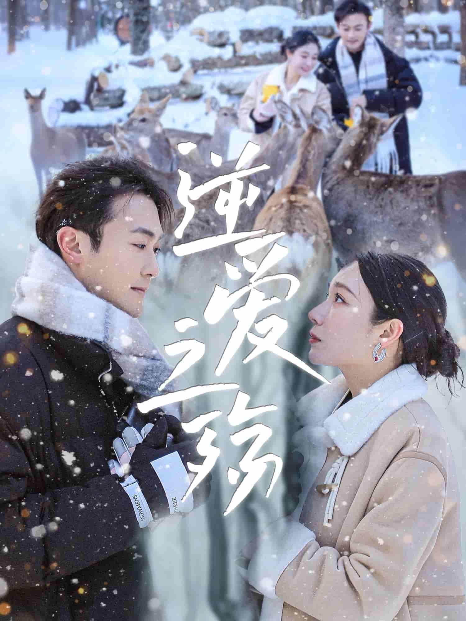 逆爱之殇-搞砸网络-www.gaoza.cn