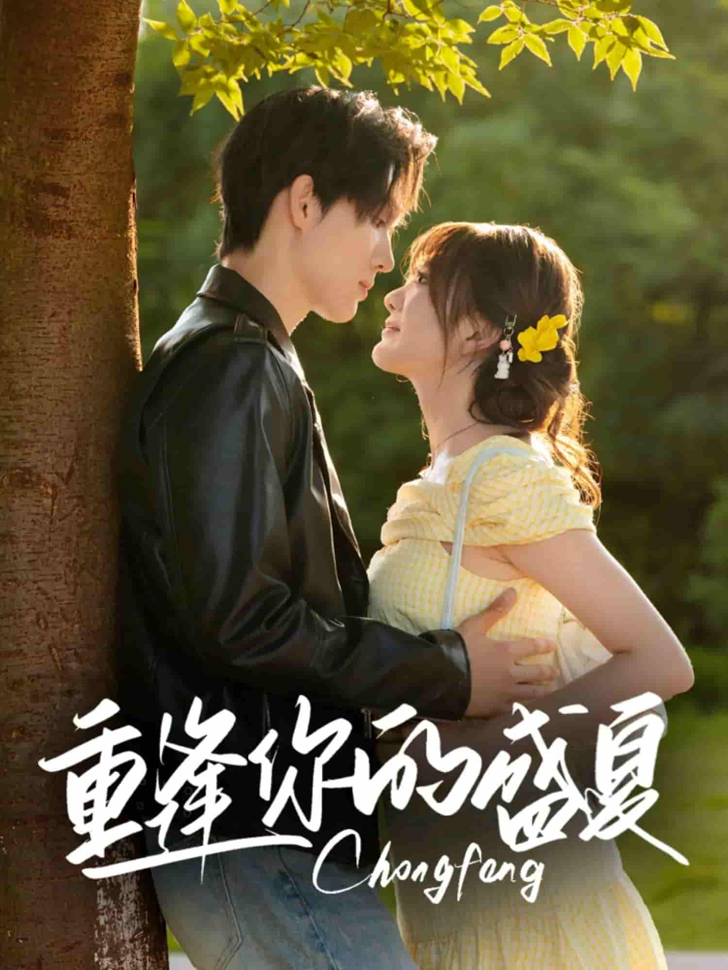 重逢你的盛夏-搞砸网络-www.gaoza.cn