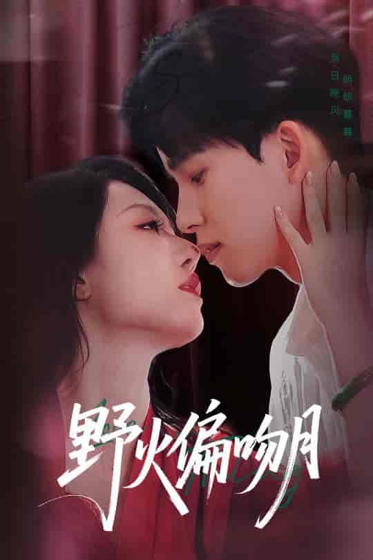 野火偏吻月-搞砸网络-www.gaoza.cn