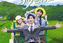 野蔷薇与多金先生-搞砸网络-www.gaoza.cn