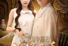鉴宝局中局之捡漏圣手-搞砸网络-www.gaoza.cn
