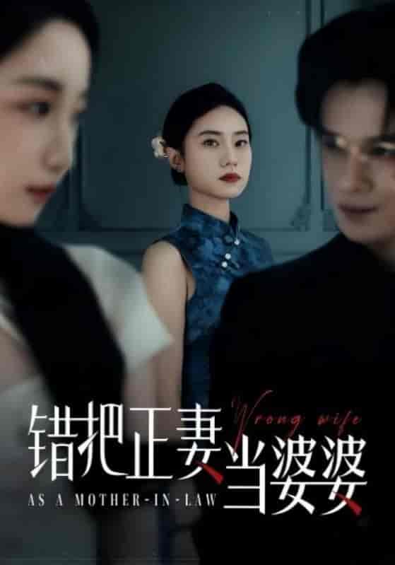 错把正妻当婆婆-搞砸网络-www.gaoza.cn