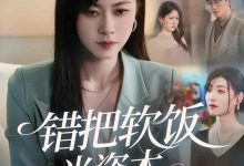 错把软饭当资本-搞砸网络-www.gaoza.cn
