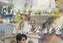 闪婚孕妻逃不掉,高冷老公偏要宠-搞砸网络-www.gaoza.cn