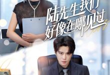 陆先生我们好像在哪见过-搞砸网络-www.gaoza.cn