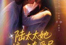 陆太太她撞破夺爱局-搞砸网络-www.gaoza.cn
