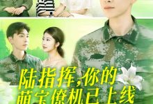 陆指挥你的萌宝僚机已上线-搞砸网络-www.gaoza.cn