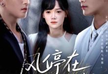 风停在转身时-搞砸网络-www.gaoza.cn