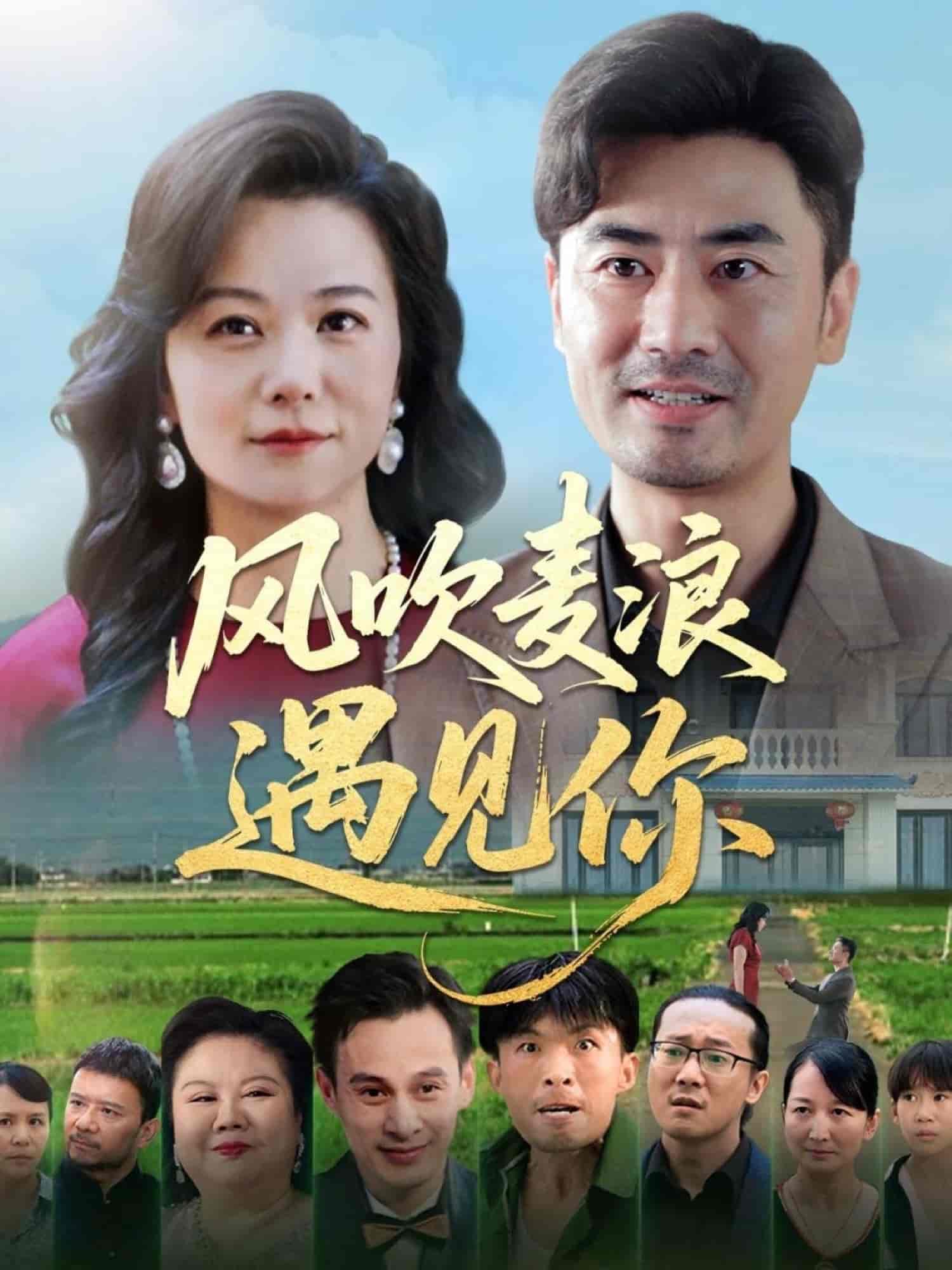 风吹麦浪遇见你-搞砸网络-www.gaoza.cn