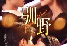 驯野-搞砸网络-www.gaoza.cn