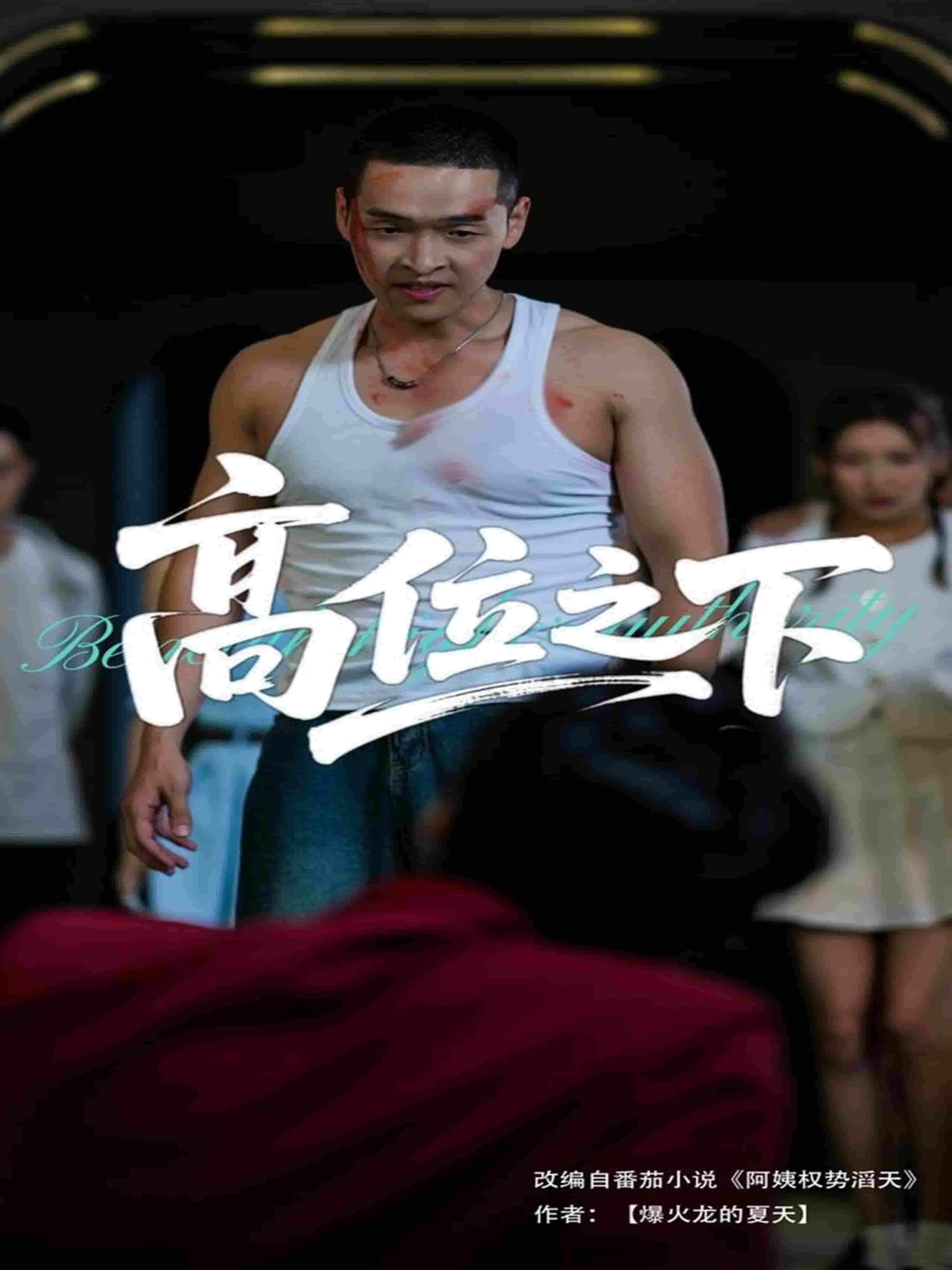 高位之下-搞砸网络-www.gaoza.cn