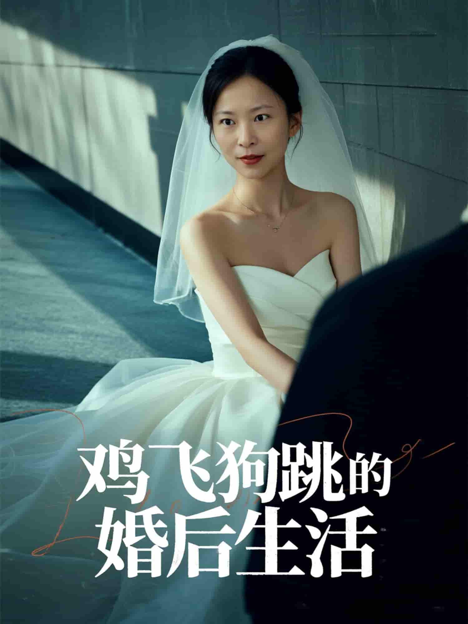 鸡飞狗跳的婚后生活-搞砸网络-www.gaoza.cn