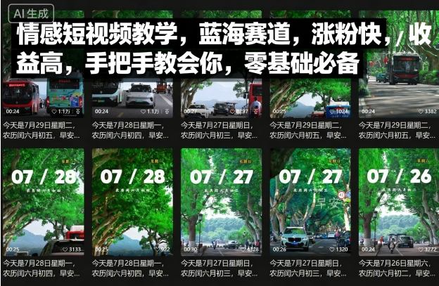 情感短视频教学，蓝海赛道，涨粉快，收益高，手把手教会你，零基础必备-搞砸网络-www.gaoza.cn