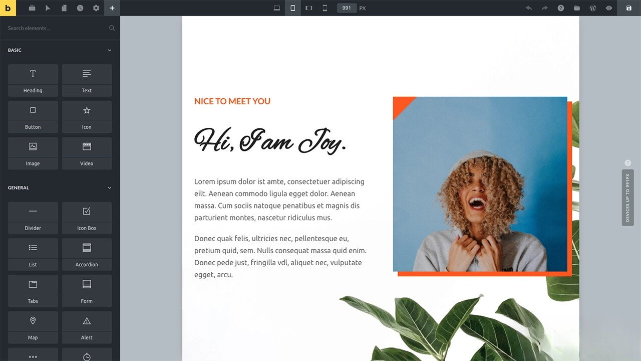 WordPress主题Bricks v1.9 破解版-搞砸网络-www.gaoza.cn