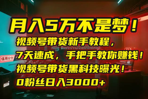 （15595期）月入5万不是梦！视频号带货新手教程，7天速成，手把手教你赚钱！视频号…-搞砸网络-www.gaoza.cn