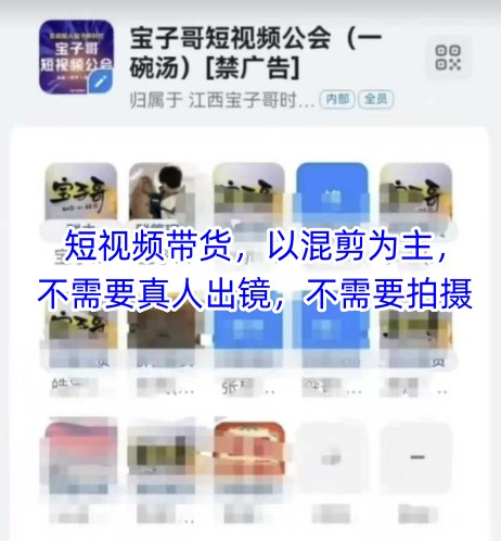 宝子哥头部团队短视频带货，以混剪为主，不需要真人出镜，不需要拍摄【更新9月】-搞砸网络-www.gaoza.cn