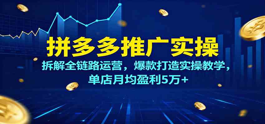 拼多多推广实操，拆解全链路运营，爆款打造实操教学，单店月均盈利5万+-搞砸网络-www.gaoza.cn