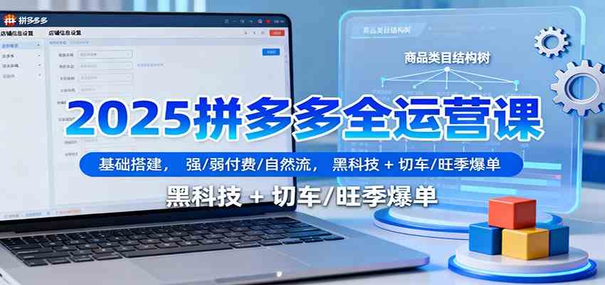 2025拼多多全运营课：基础搭建，强/弱付费/自然流，黑科技 + 切车/旺季爆单-搞砸网络-www.gaoza.cn