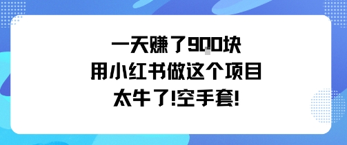 一天挣了9张用小红书做这个项目太牛了，空手套-搞砸网络-www.gaoza.cn