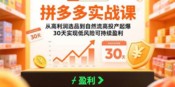 （15586期）拼多多实战课：从高利润选品到自然流高投产起爆 30天实现低风险可持续盈利-搞砸网络-www.gaoza.cn