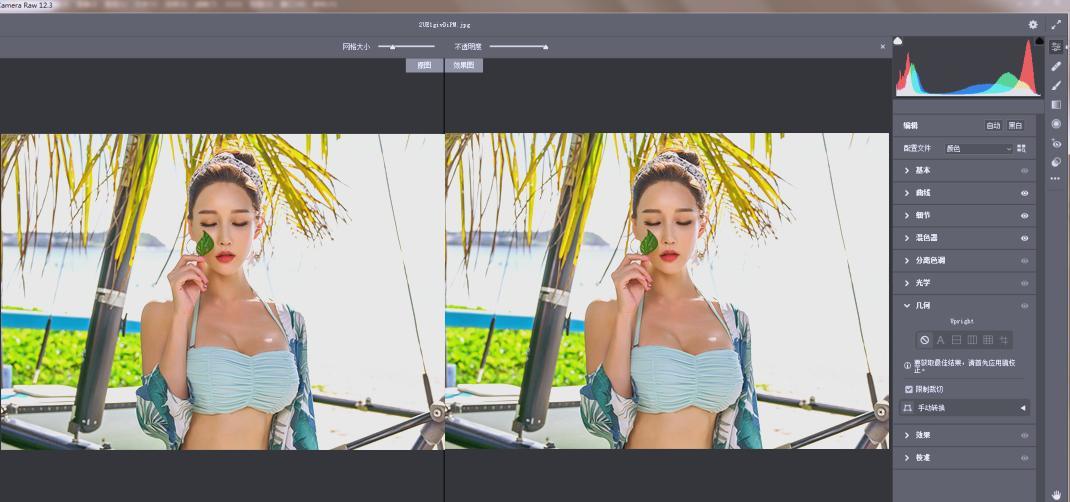 Adobe Camera Raw(RAW处理工具)v18.0.0中文版-搞砸网络-www.gaoza.cn