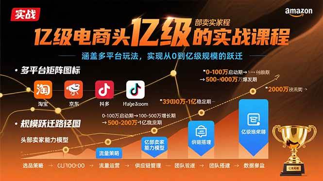 （15803期）亿级电商头部卖家的实战课程：涵盖多平台玩法，实现从0到亿级规模的跃迁-搞砸网络-www.gaoza.cn