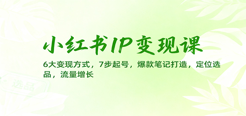 小红书IP变现课：6大变现方式，7步起号，爆款笔记打造，定位选品，流量增长-搞砸网络-www.gaoza.cn
