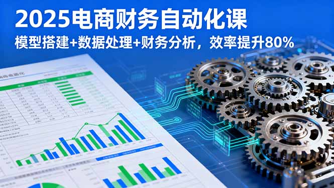 2025电商财务自动化课，模型搭建+数据处理+财务分析，效率提升80%-搞砸网络-www.gaoza.cn